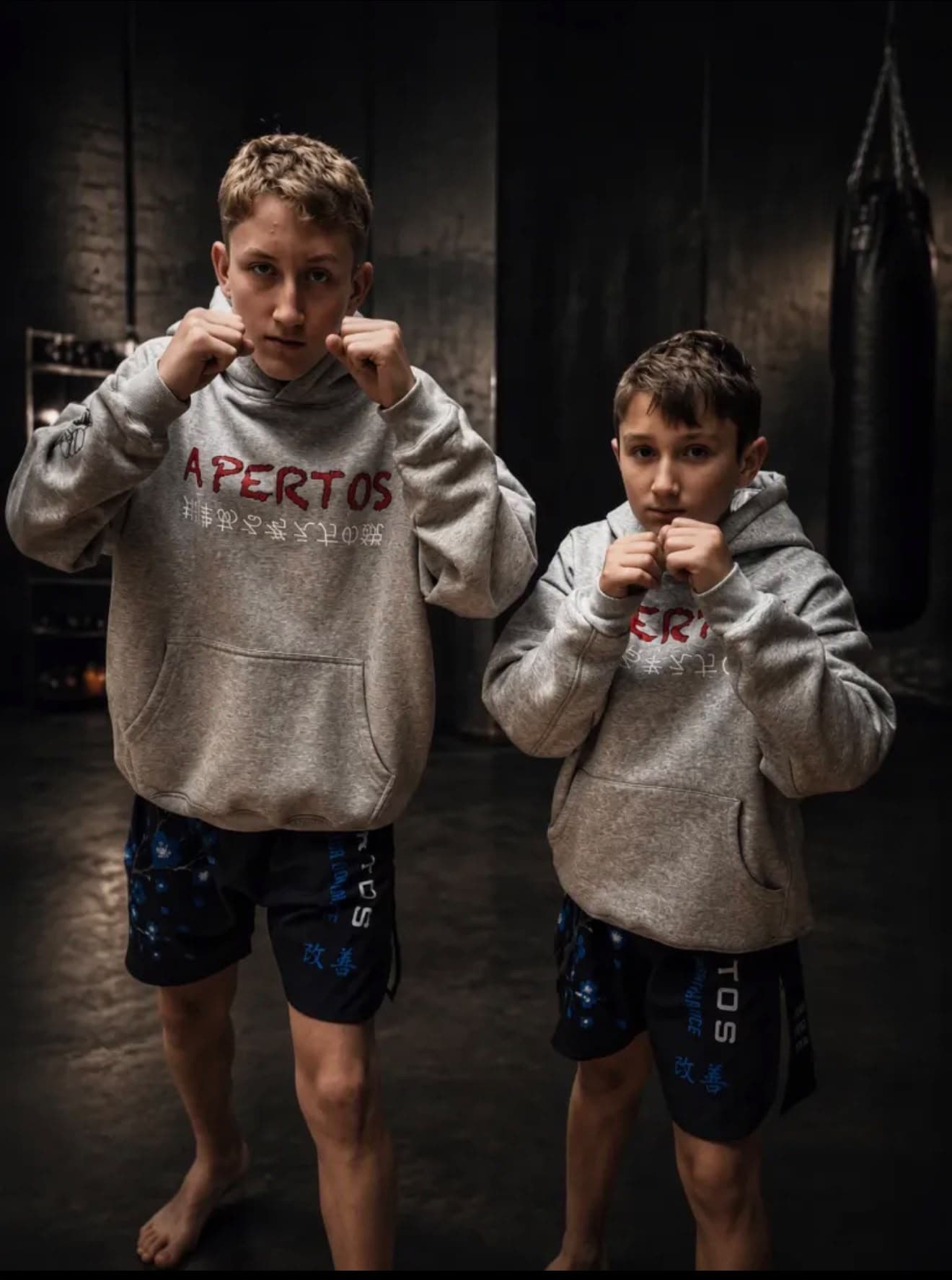 Apertos lifestyle hoodie
